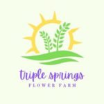 Triple Springs Logo